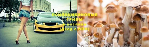 герыч Анива