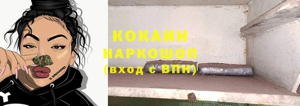 ПСИЛОЦИБИНОВЫЕ ГРИБЫ Новозыбков