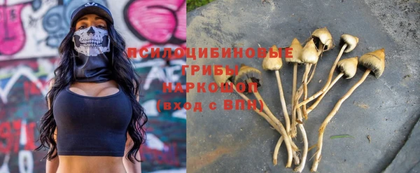 ПСИЛОЦИБИНОВЫЕ ГРИБЫ Новозыбков