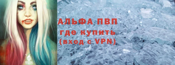 ПСИЛОЦИБИНОВЫЕ ГРИБЫ Новозыбков