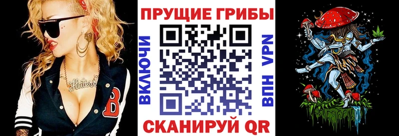 Псилоцибиновые грибы прущие грибы  это какой сайт  Кораблино  купить наркотики цена 